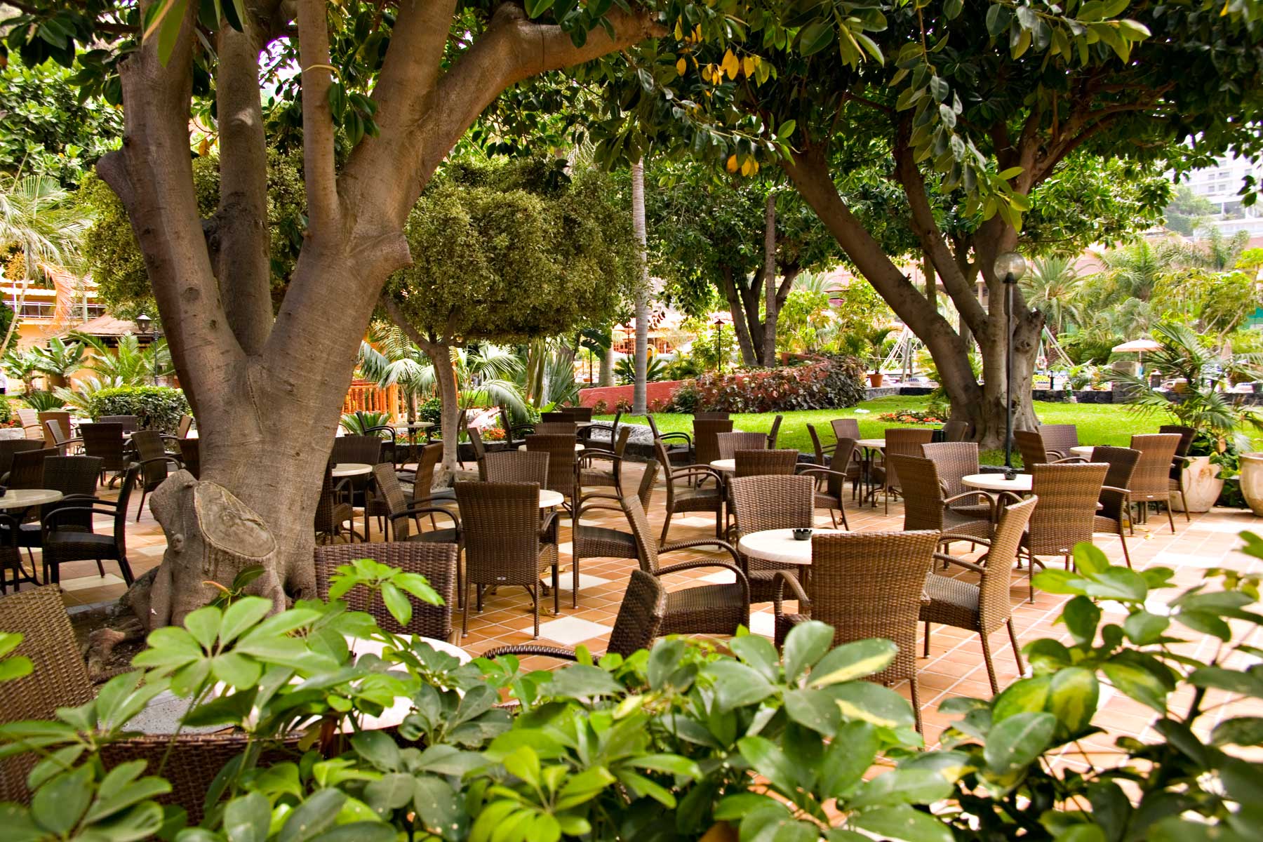 Gastronomy at Bahia Principe San Felipe 7