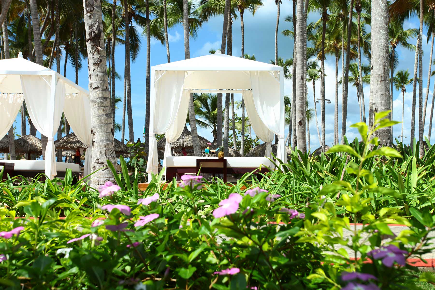 All Inclusive Pool at Luxury Bahia Principe Bouganville Don Pablo Collection