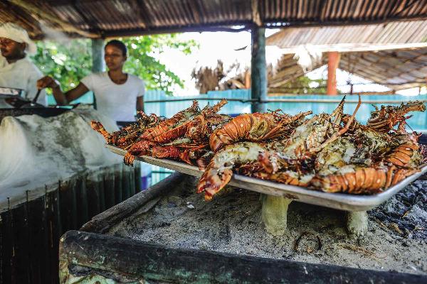 Things to do at Grand Bahia Principe Punta Cana 15