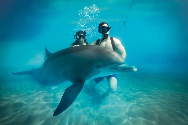 Things to do at Grand Bahia Principe Punta Cana