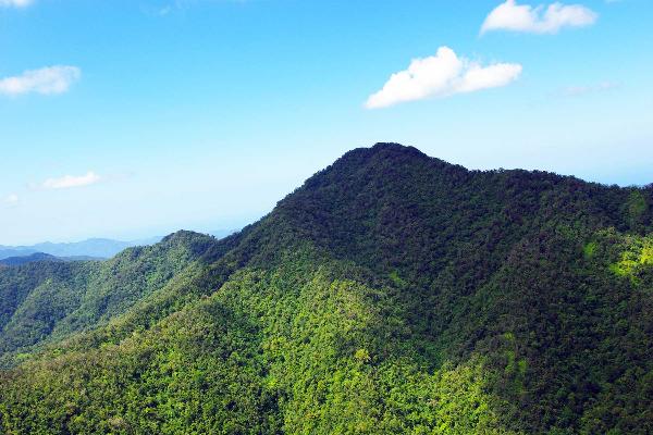 Mystic Mountain and sky explorer at Jamaica 1