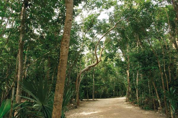 Bike tour in the Blue Mountains at Jamaica 3